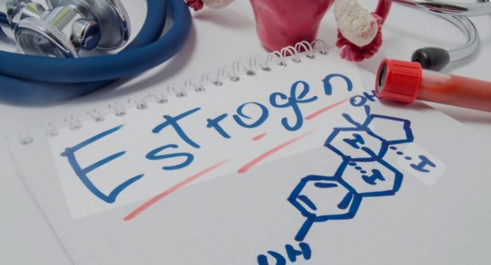 Estrogen 960x519